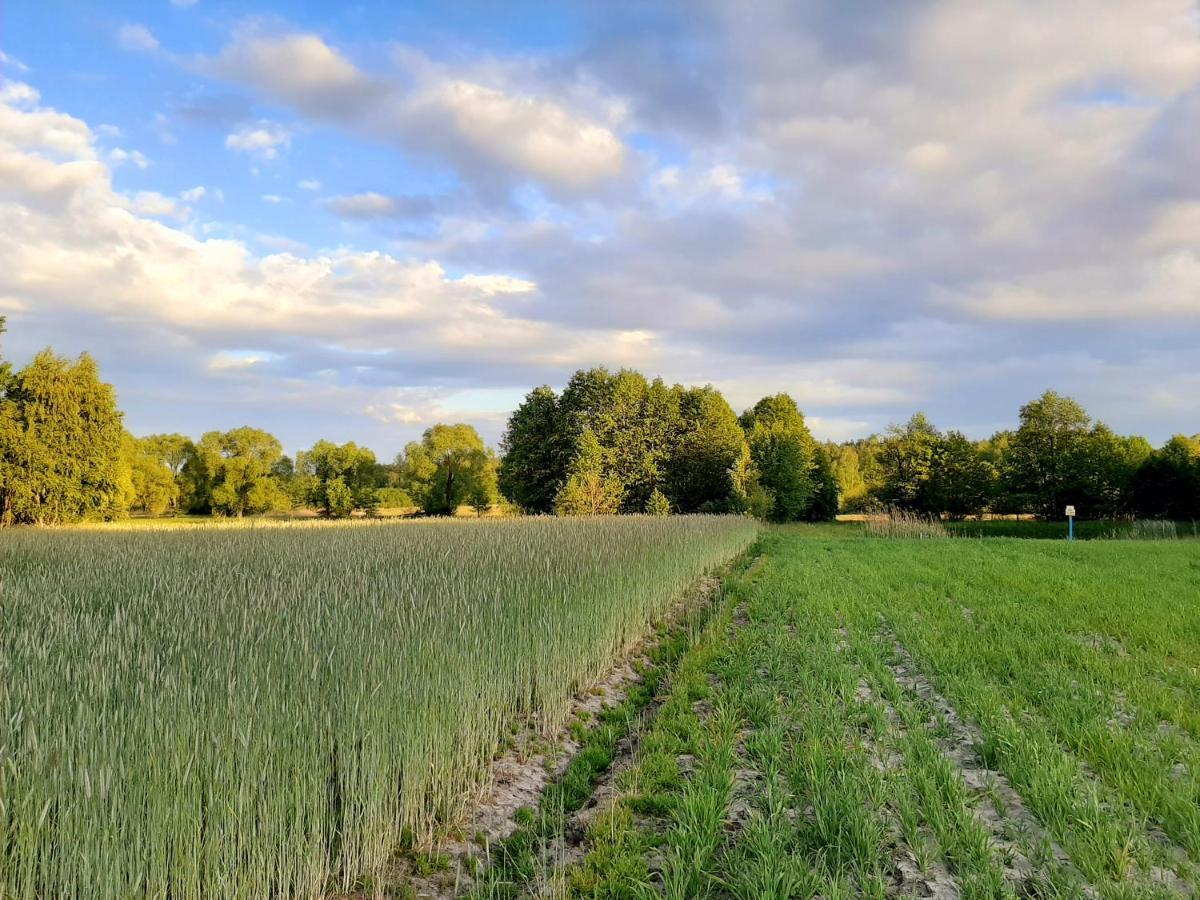Drewniany * Nowa Wola (Belchatow)